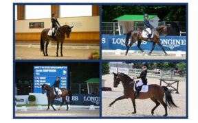 Bozza automatica 132