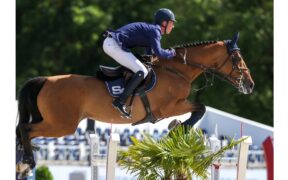 Bozza automatica 138