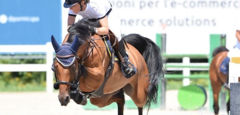 Bozza automatica 139