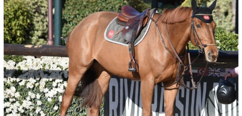 Bozza automatica 140