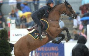 Bozza automatica 143