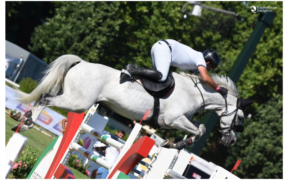 Bozza automatica 147