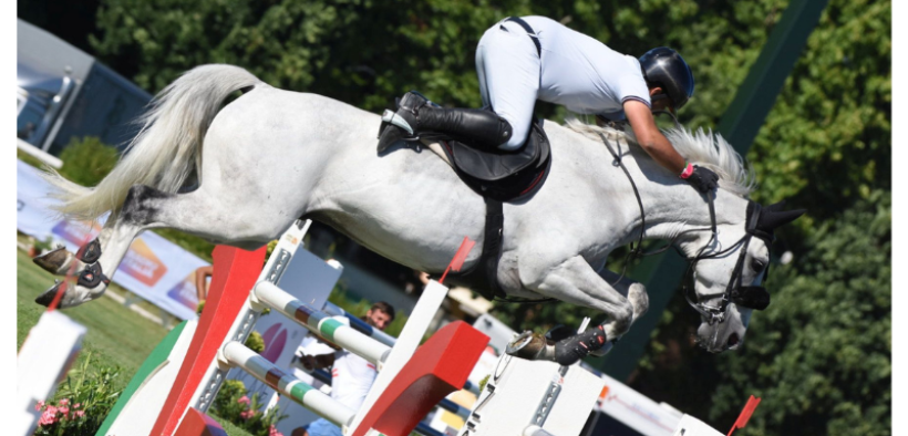 Bozza automatica 147