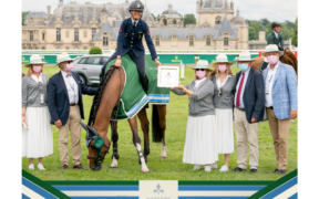 Bozza automatica 149