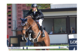 Bozza automatica 161