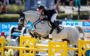 Bozza automatica 163