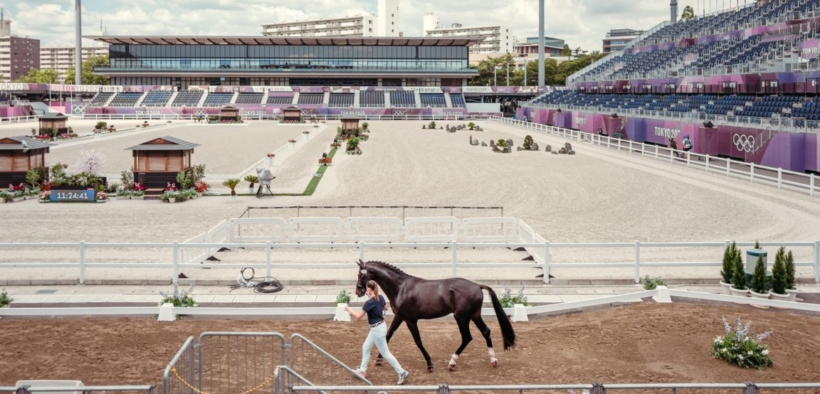 Bozza automatica 164