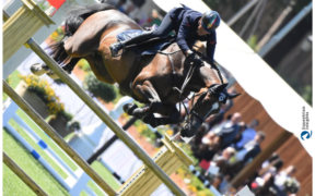 Bozza automatica 172