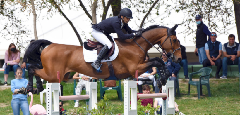 Bozza automatica 177