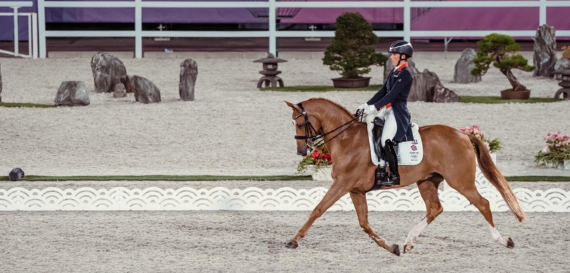 Bozza automatica 181