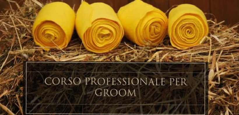 Bozza automatica 183