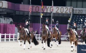 Bozza automatica 184