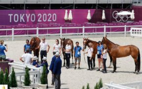 Bozza automatica 189