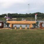 Bozza automatica 196