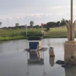 Bozza automatica 207