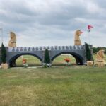 Bozza automatica 213