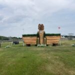 Bozza automatica 218