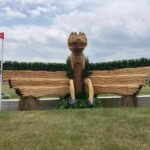 Bozza automatica 219