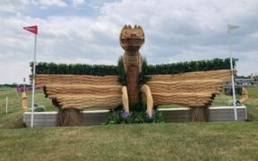 Bozza automatica 219