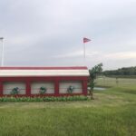 Bozza automatica 224