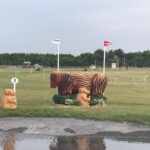 Bozza automatica 226