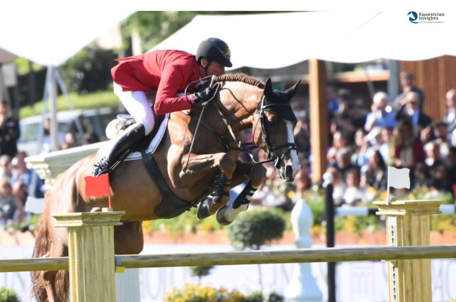 Scuderia 1918 Tobago Z è leader della WBFSH Ranking per il 3° mese consecutivo 1