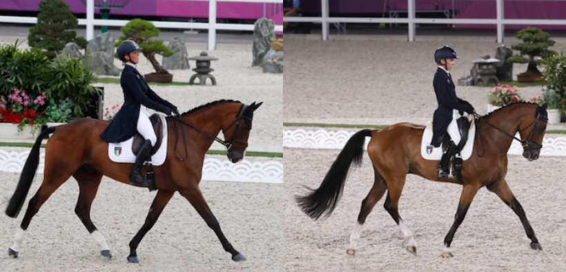 Tokyo 2020 / Completo: concluso il dressage test per Panizzon e Bordone