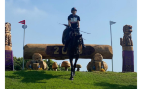 Bozza automatica 232