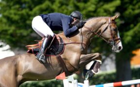 Bozza automatica 237