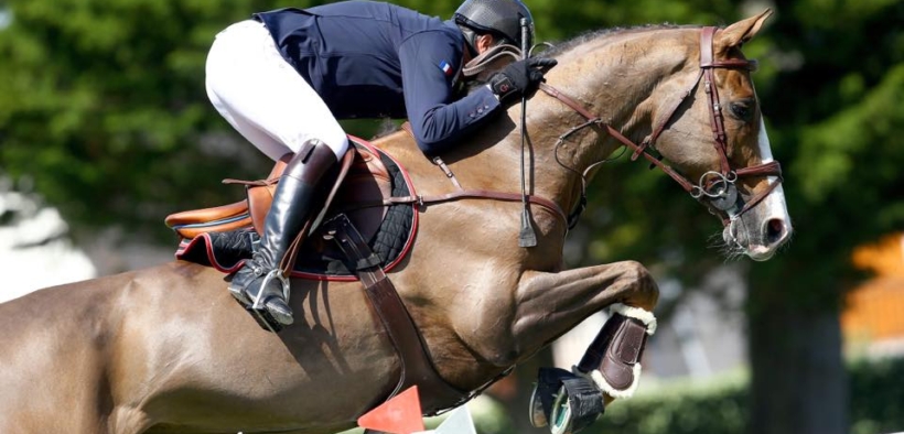 Bozza automatica 237