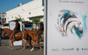 Bozza automatica 239