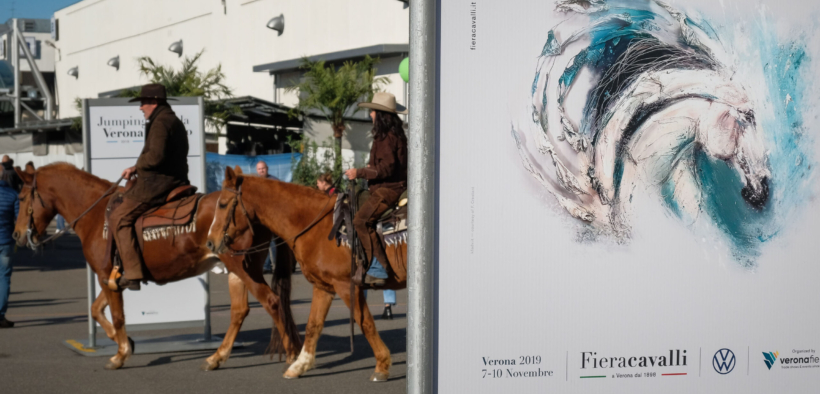 Bozza automatica 239