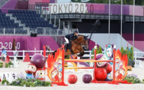 Bozza automatica 241