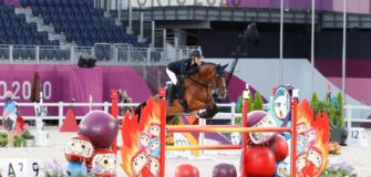 Bozza automatica 241