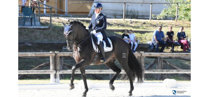 Bozza automatica 244