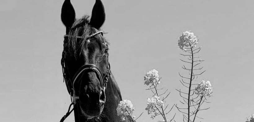 Ci ha lasciato Sandro Hit