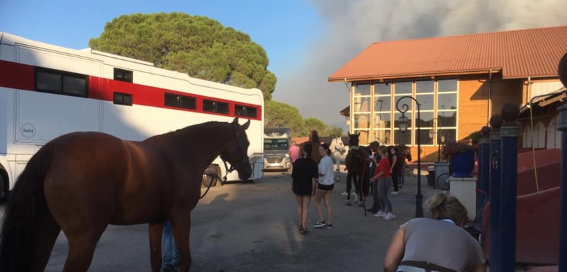 Incendi nel sud della Francia, evacuati i cavalli