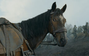 Letture d'agosto: Memorie di Albino, l'ultimo cavallo a compiere una carica militare