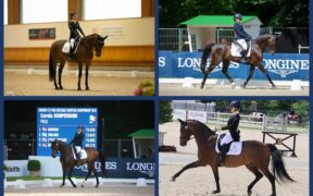 L'Italia Team di paradressage