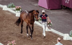 Palcoscenico per la battaglia di salto della squadra olimpica