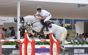 Global Roma, Bucci sal