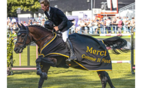 Buona pensione, Comme il Faut!