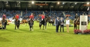 CHIO Aachen: la Mercedes-Benz Nations' Cup va agli USA. Team Italia penultimo