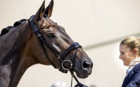 Dressage: tutto è pronto per i Campionati Europei Senior e Under 25