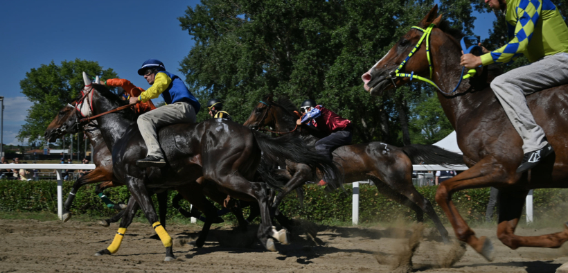 Palio di Fucecchio, morti due cavalli durante le batterie di selezione