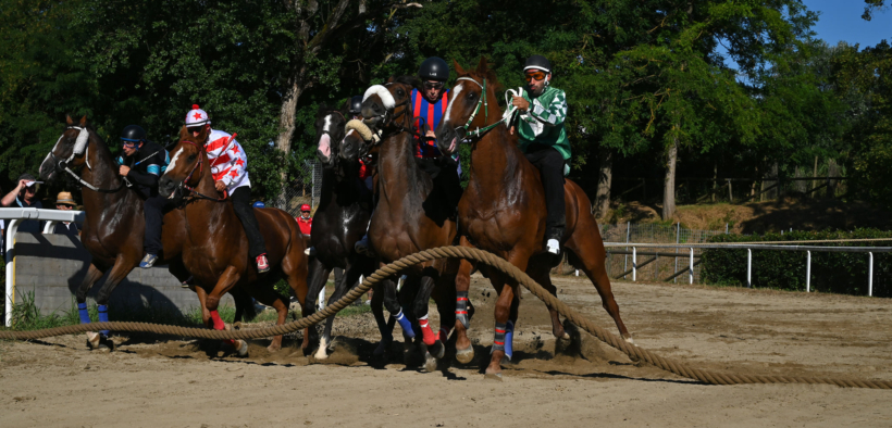 Troppe le morti "bianche" nei palii e giostre: la posizione di Horse Angels sul caso Fucecchio