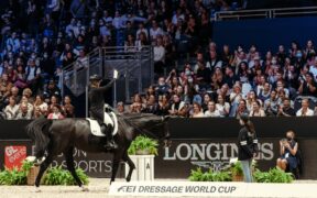 Bozza automatica 246