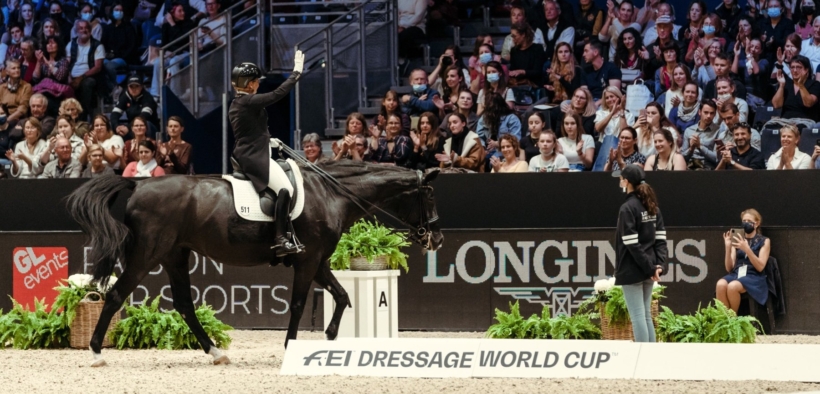 Bozza automatica 246