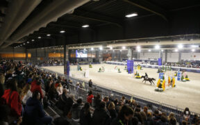 Fieracavalli 2021: ecco gli appuntamenti in ArenaFISE