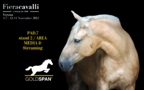 Goldspan Italia a Fieracavalli (Pad. 7, Stand 2): Area Media & Streaming
